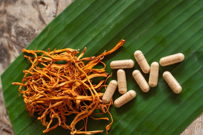Cordyceps Mushrooms and Supplements in Pam Rumley's World