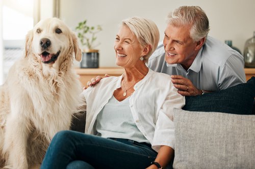 Senior couple relaxing together on a couch in a comfortable, simple home with their dog after downsizing and relocating.